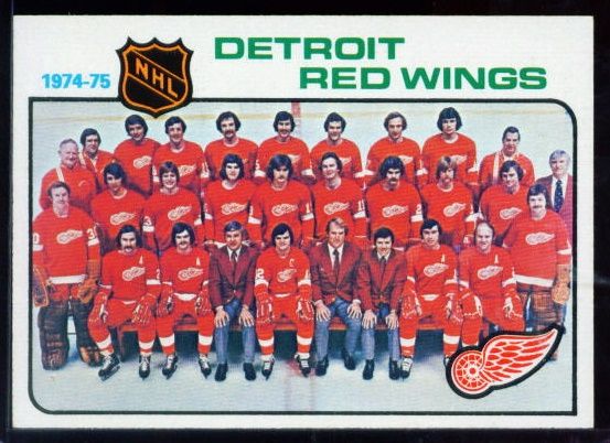 87 Red Wings Team